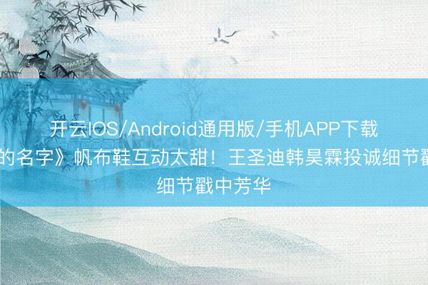 开云IOS/Android通用版/手机APP下载 《隐身的名字》帆布鞋互动太甜！王圣迪韩昊霖投诚细节戳中芳华